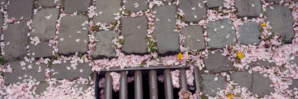daggerish's profile banner image
