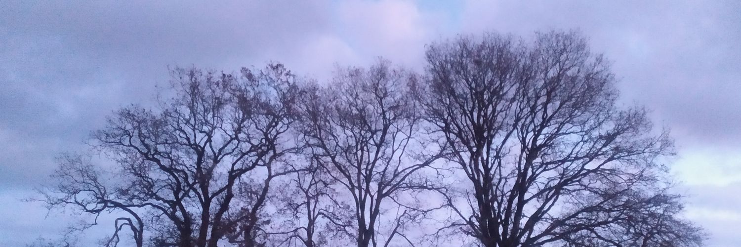 albertocrego's profile banner image