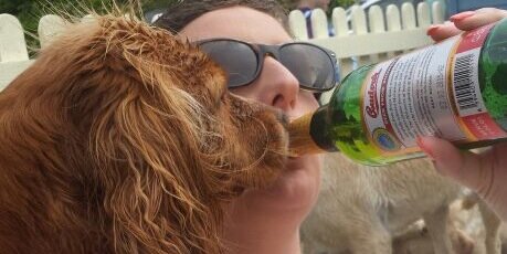 Sarahfulcher1's profile banner image