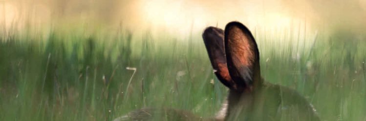 gphyt8's profile banner image