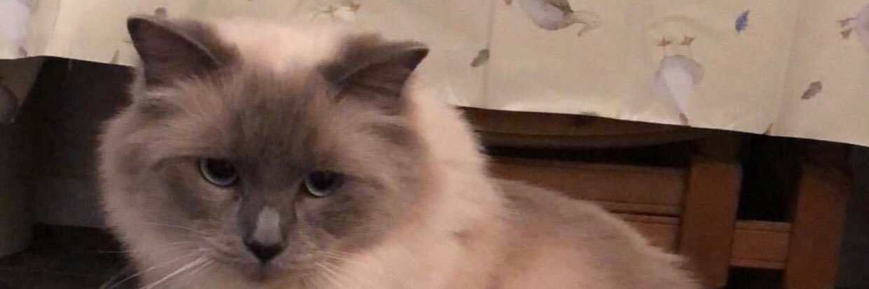 Mummyegg66's profile banner image