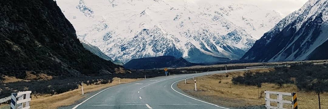 🍑 -- rest -- banner