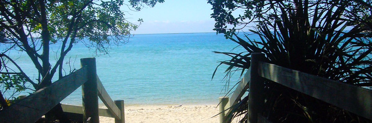 Michael Dietz banner