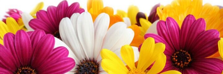 UHani610's profile banner image