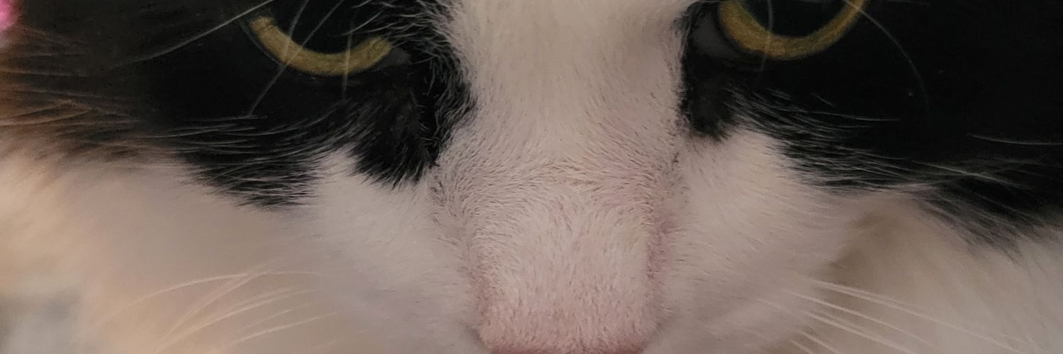 MarlarooG's profile banner image