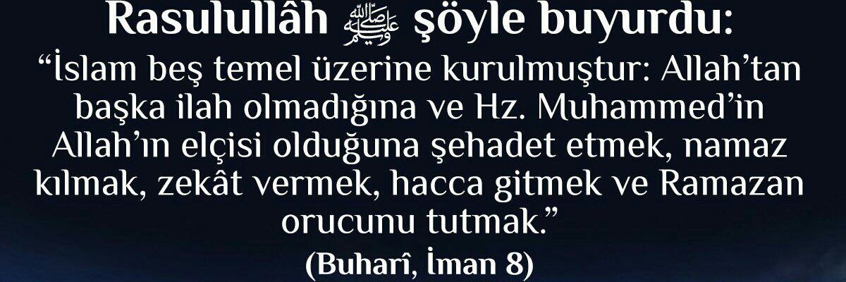 Tekin Akkaya banner