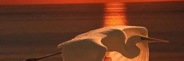valexgar's profile banner image
