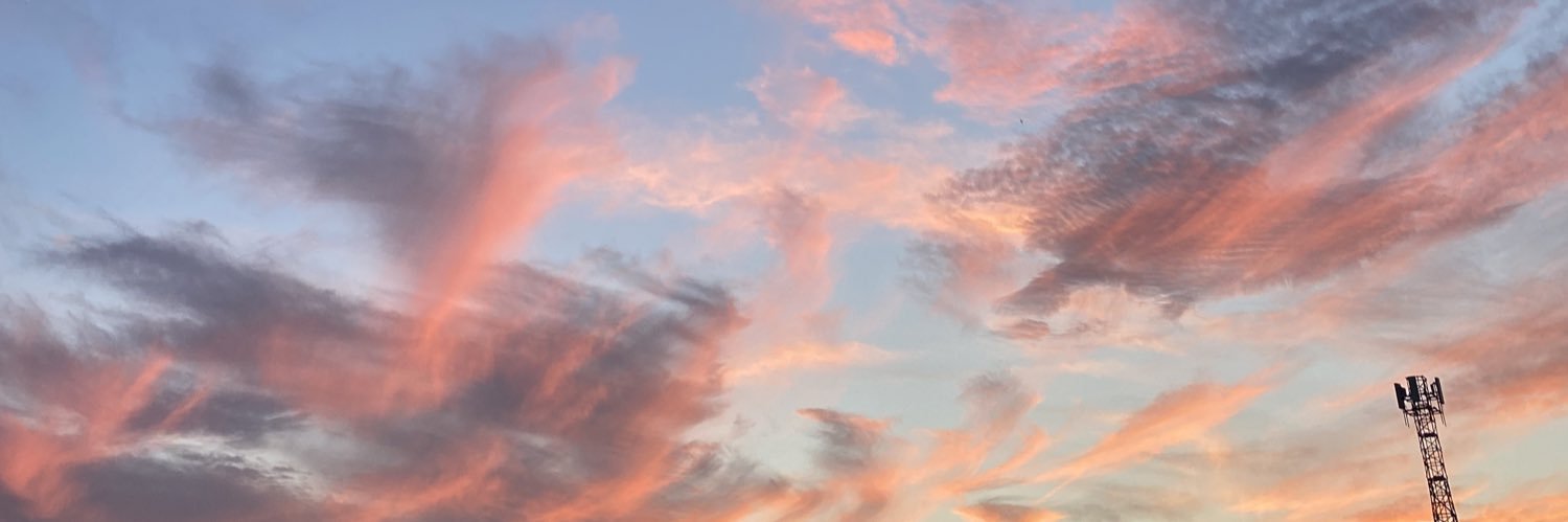 RemediosHernndz's profile banner image