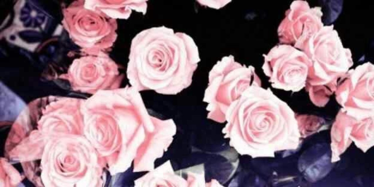 ShmFom's profile banner image