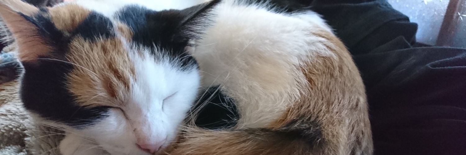 ピカ (推しの守護霊) banner