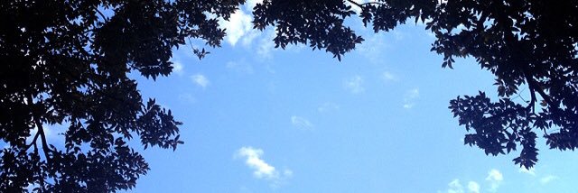 wanda9972's profile banner image