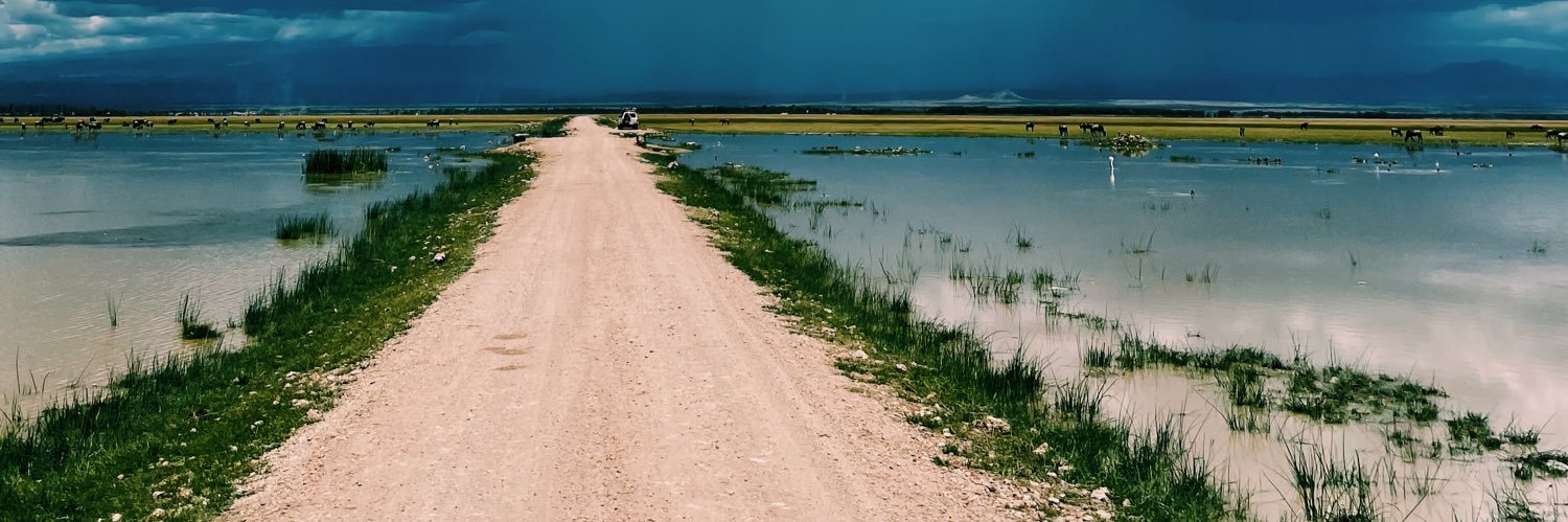 🇵🇸🇵🇸 banner
