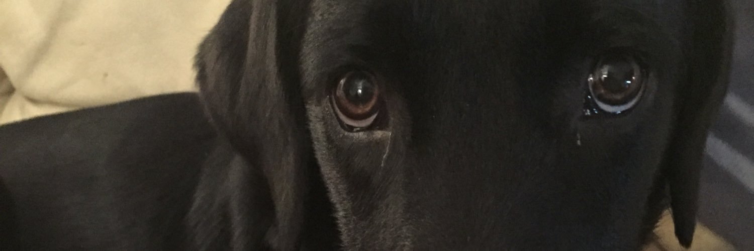 aabrown69's profile banner image