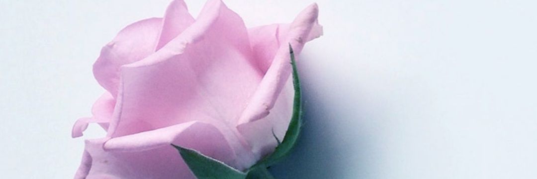 edwardskm's profile banner image