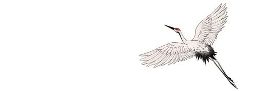 Kübra Doğan banner