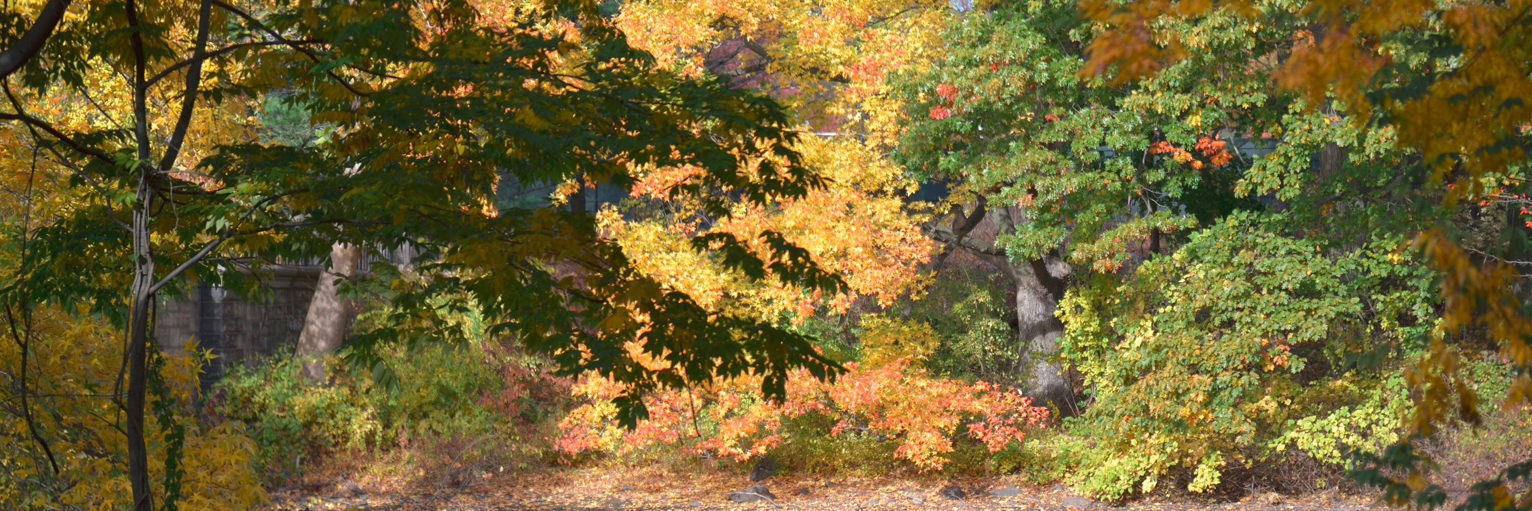 JayG's profile banner image