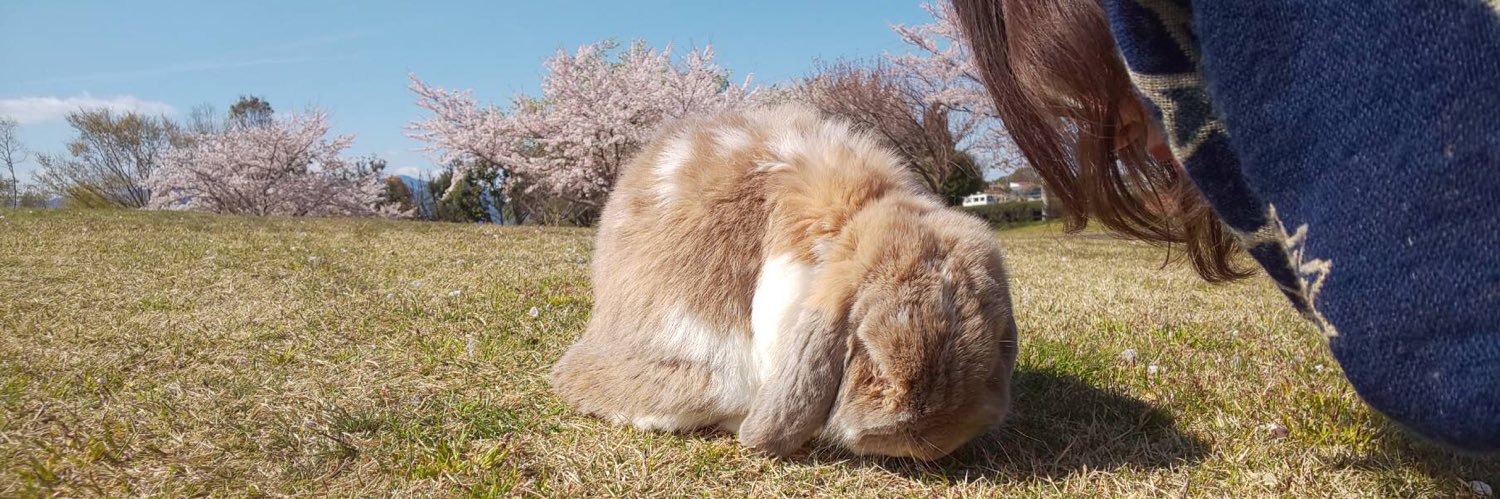 KeikaLw's profile banner image