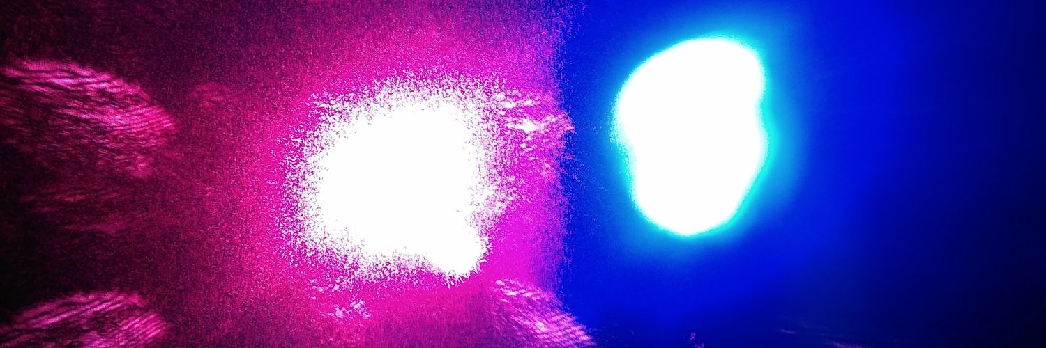 acrilapis's profile banner image