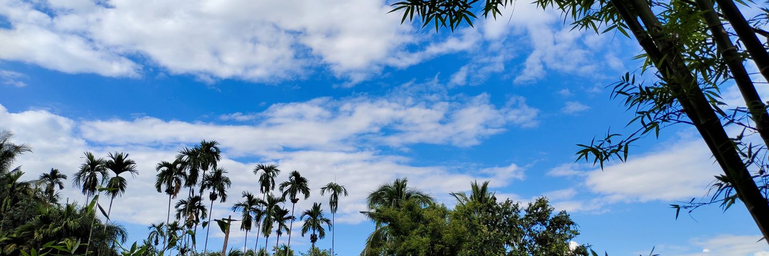 TeeAda's profile banner image