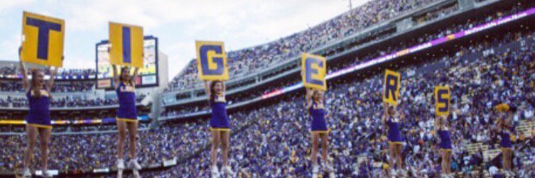 Bailey Saucier banner