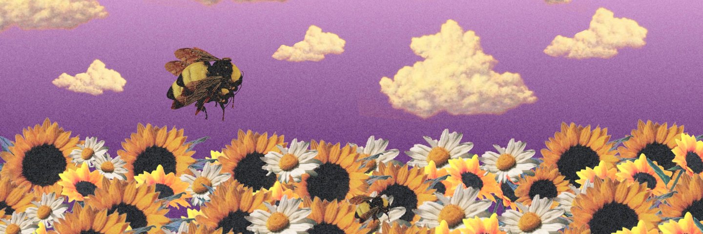 EricSunflower's profile banner image