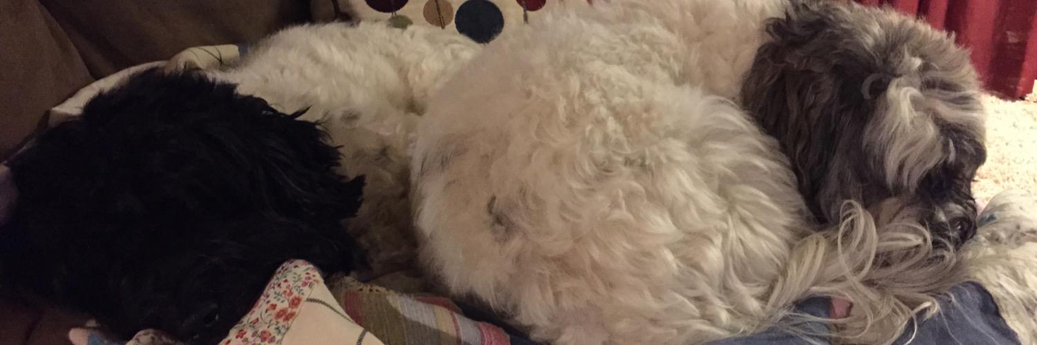 Itsadogslife68's profile banner image