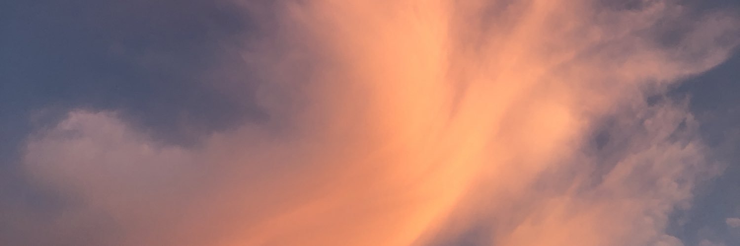 MoaRingvall's profile banner image