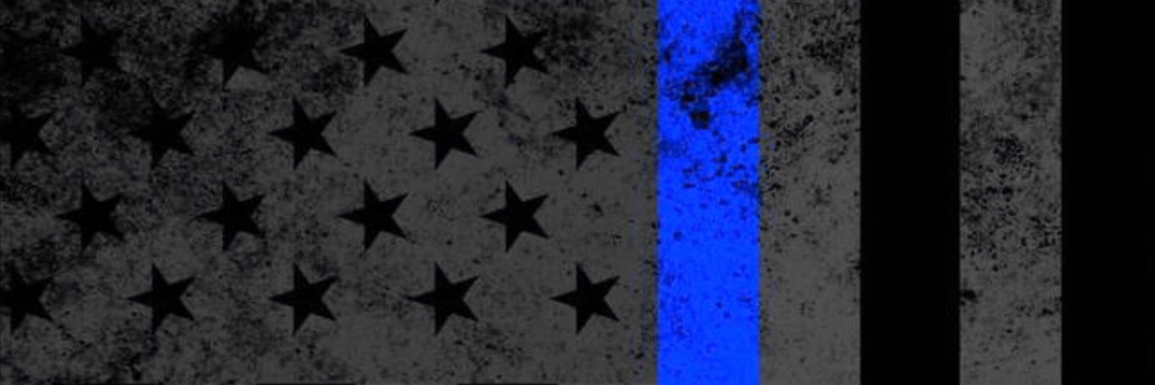desichrisvee's profile banner image