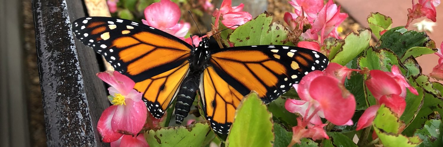 Rolan's 6th Grade Science banner