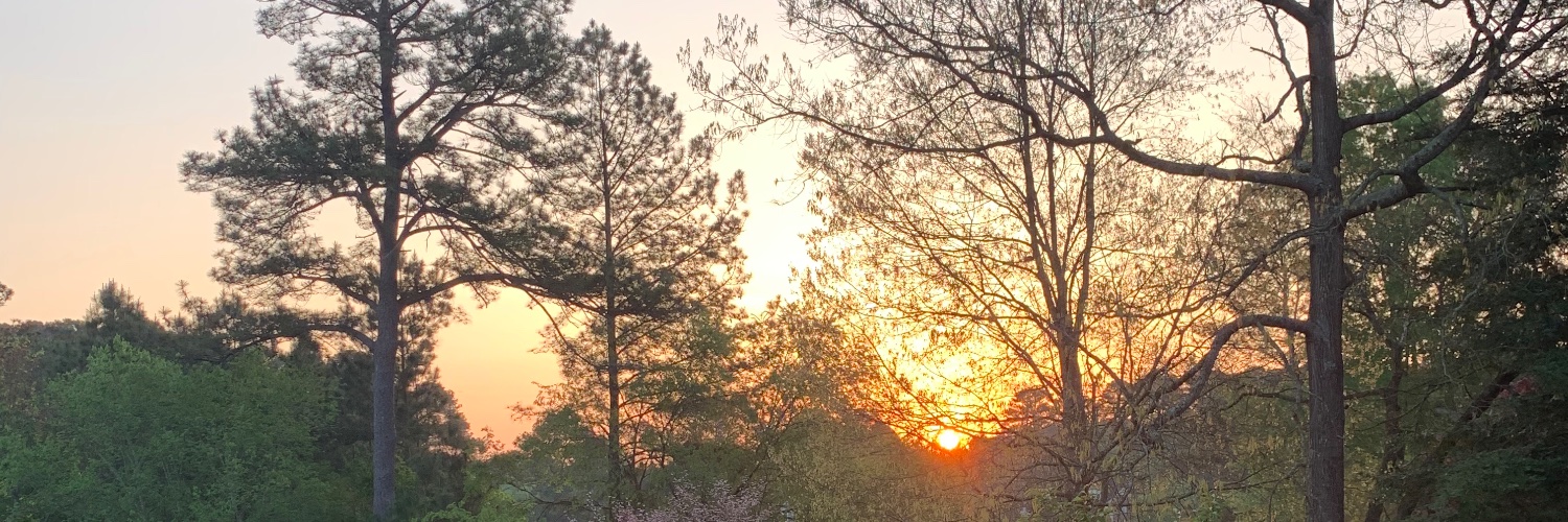 Stephen Bennett banner