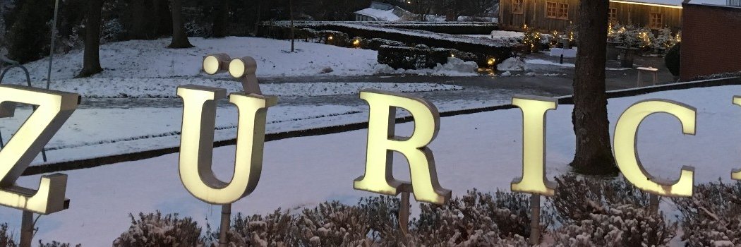 Eli_Rizzi's profile banner image