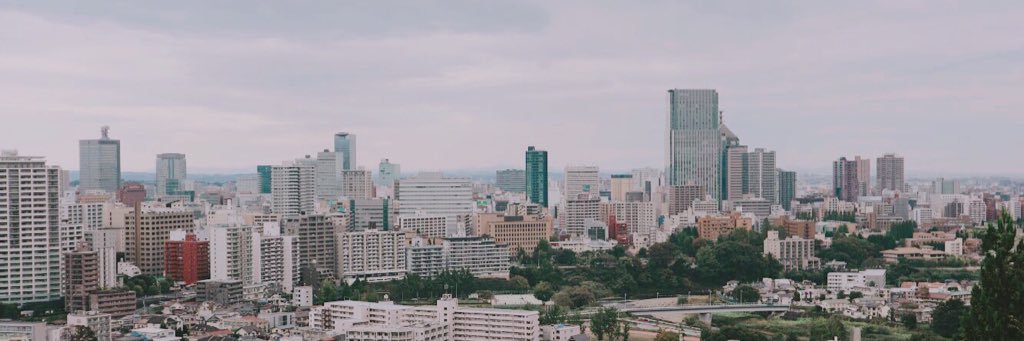 amelririz's profile banner image