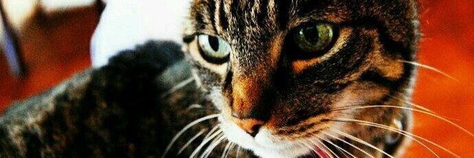 raulbaro8's profile banner image