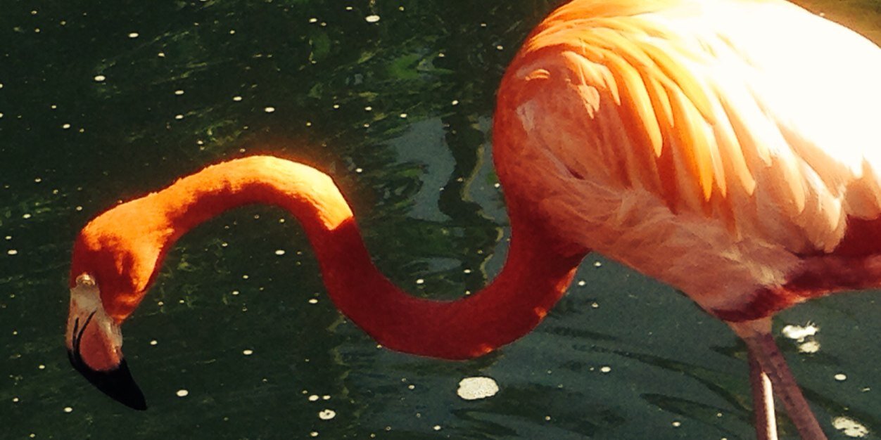 AdCrableLNP's profile banner image