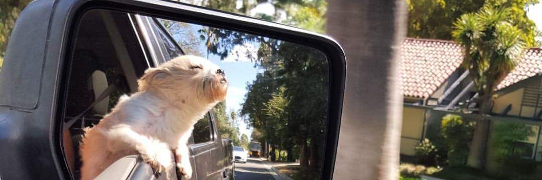 Soal 4 Real 🇵🇸🍉 banner