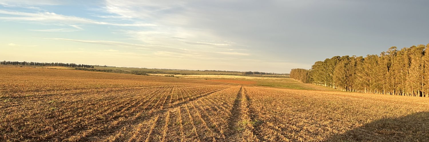 Santiago Bayce banner