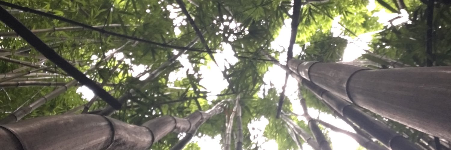 joachimjacobs's profile banner image