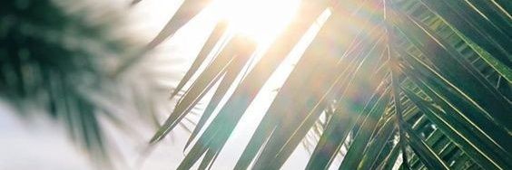 LuciaTM2's profile banner image