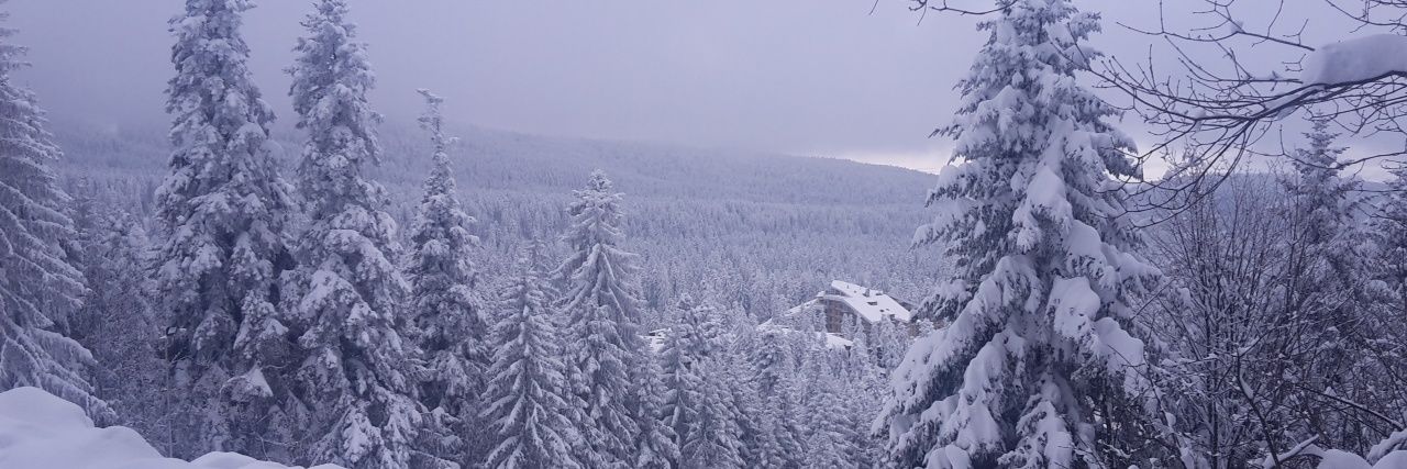 ElaineRauer's profile banner image
