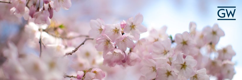 GWU Speech, Language and Hearing Sciences banner