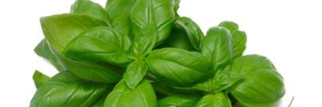 mukharref's profile banner image