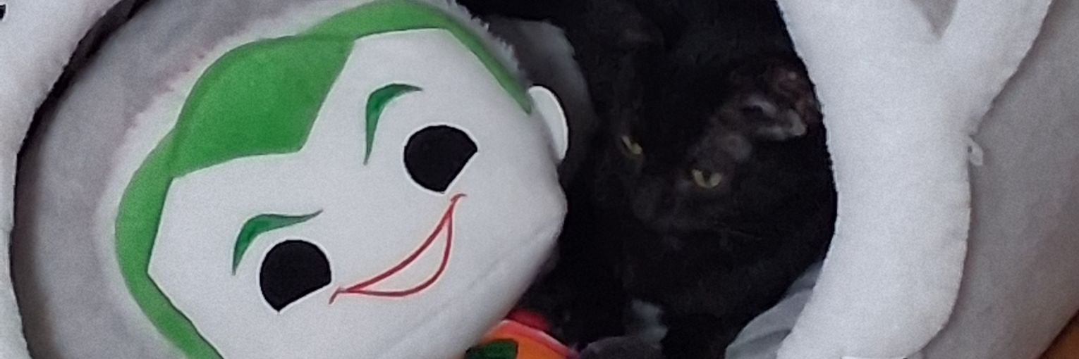 AshArgott's profile banner image