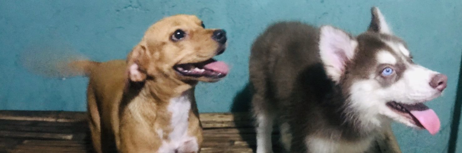 iamlizzie25's profile banner image