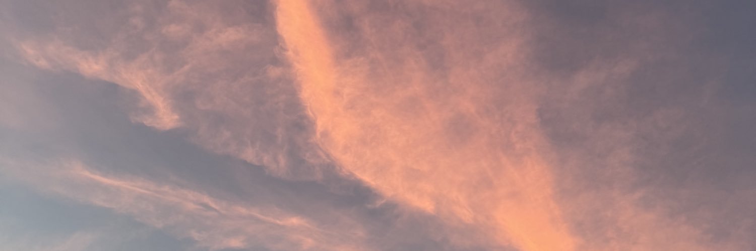 NotLukasMom's profile banner image