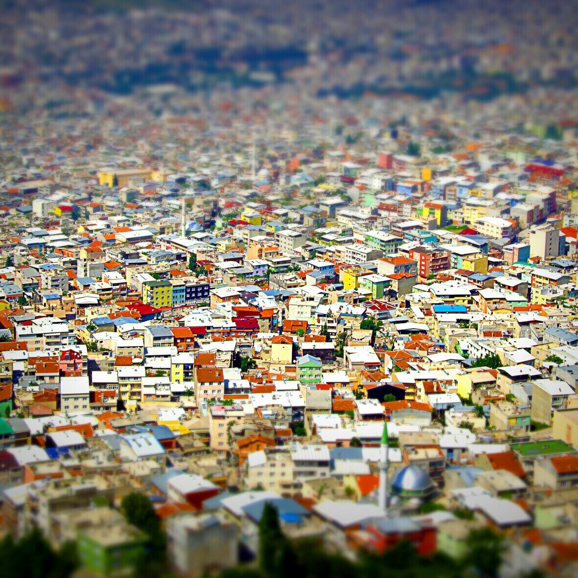 misbahhammoud's profile banner image
