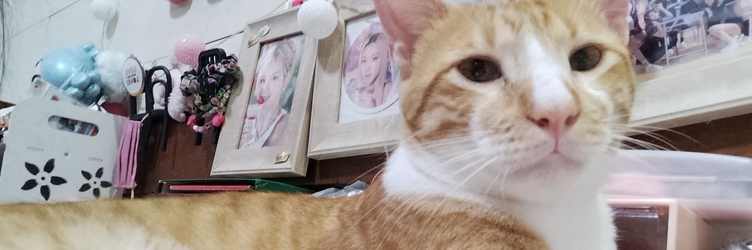 demyanyannie's profile banner image