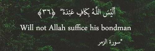 imane banner