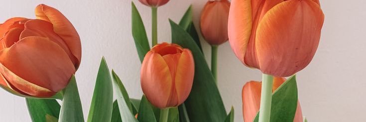 eva_ramos98's profile banner image