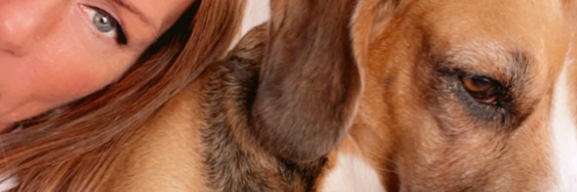 DebatableAngel's profile banner image