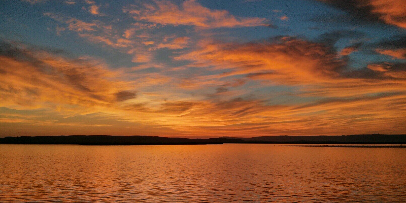 Andrea Barratt Fitzau banner